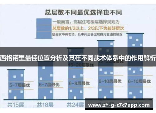 西格诺里最佳位置分析及其在不同战术体系中的作用解析