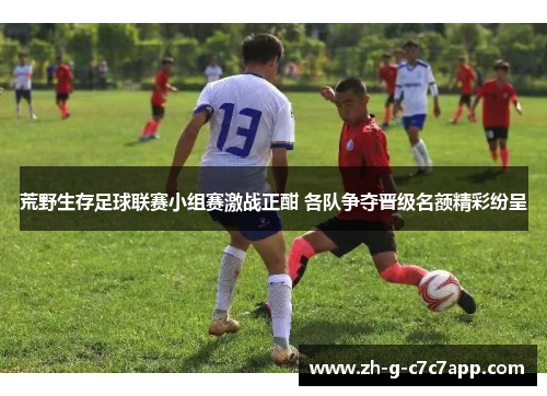 荒野生存足球联赛小组赛激战正酣 各队争夺晋级名额精彩纷呈 荒野生存足球联赛小组赛激战正酣 各队争夺晋级名额精彩纷呈