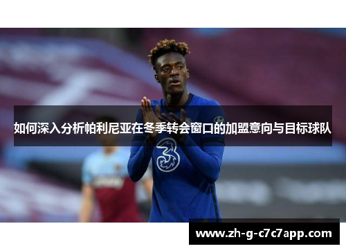 如何深入分析帕利尼亚在冬季转会窗口的加盟意向与目标球队