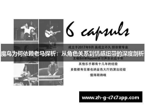 魔鸟为何依赖老马探析:从角色关系到情感纽带的深度剖析 魔鸟为何依赖老马探析:从角色关系到情感纽带的深度剖析